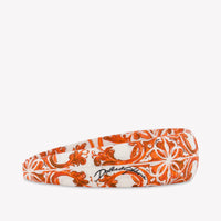 Dolce & Gabbana Baby Mädchen Zubehör In Orange