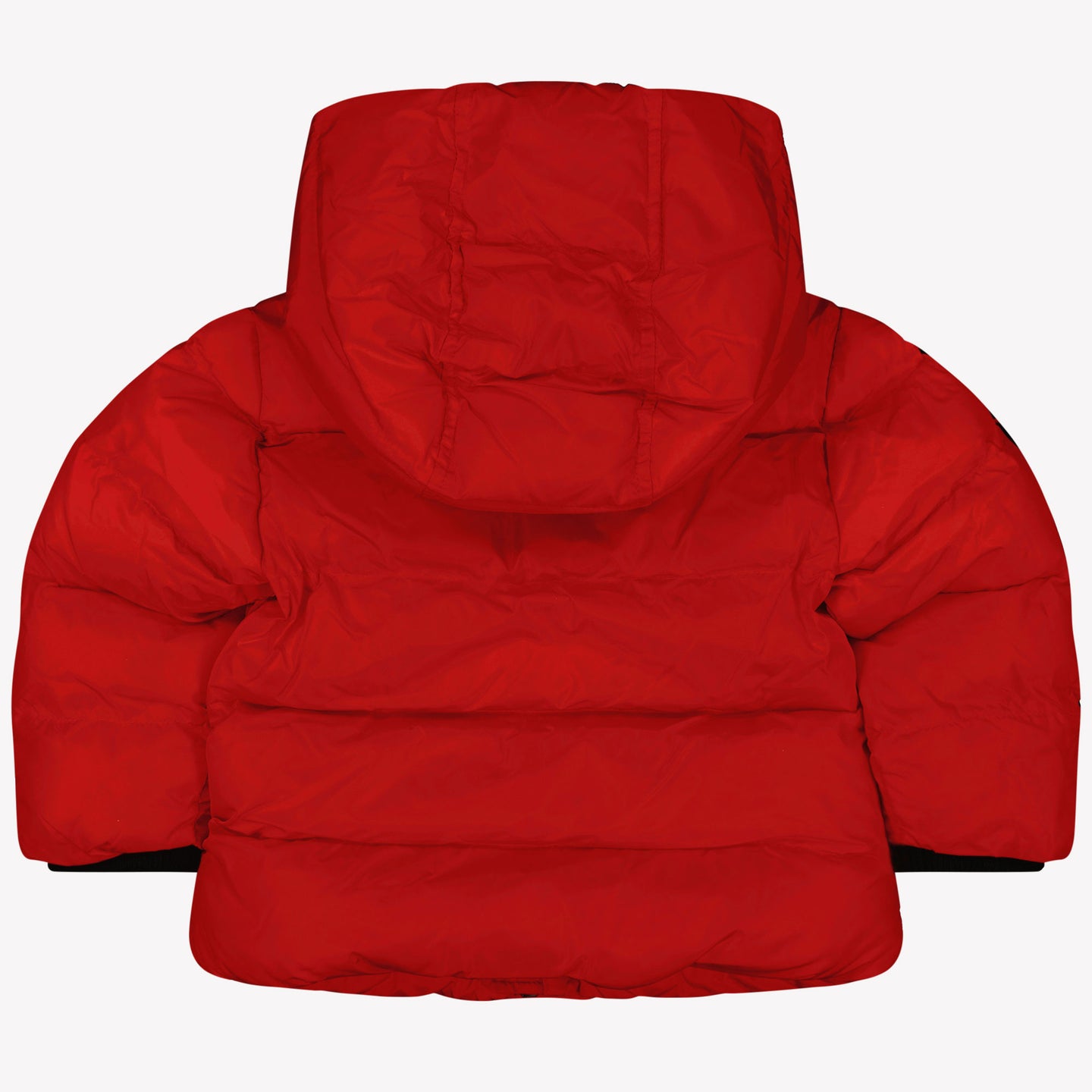 Dsquared2 Baby Jongens Winterjas Rood