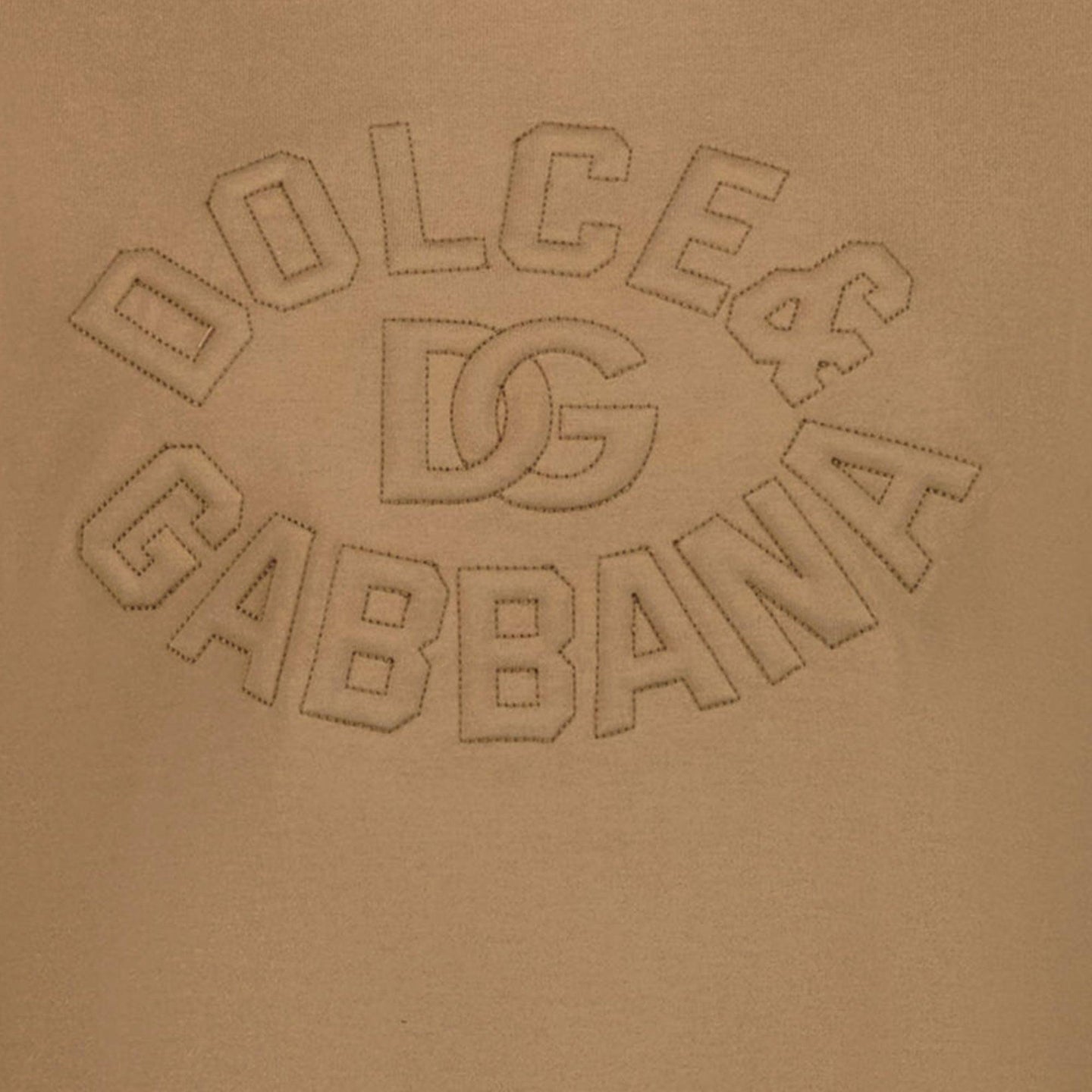 Dolce & Gabbana Enfant Garçons T-shirt en lumière Marron