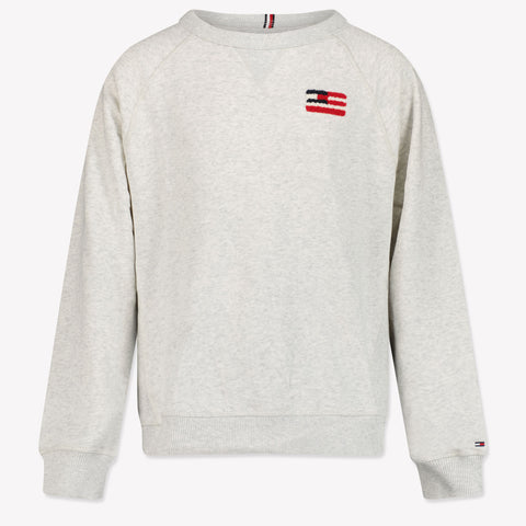 Tommy Hilfiger Niño Chicos Suéter en Gris