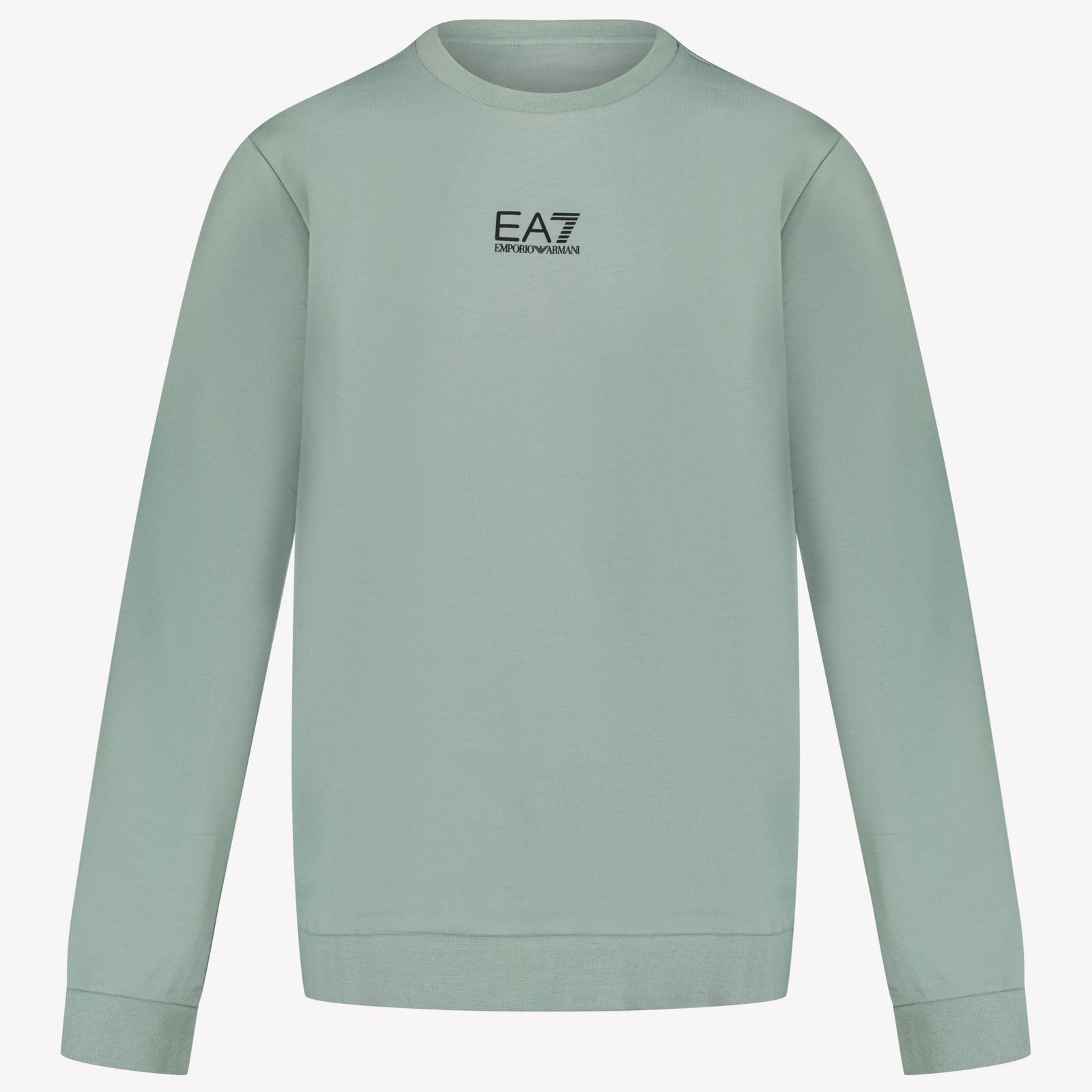 EA7 Kids Boys Sweater In Light Green