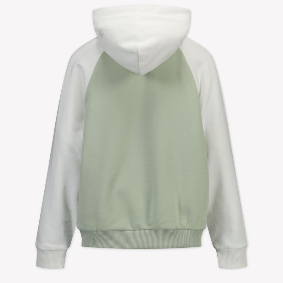Tommy Hilfiger Enfant Unisexe Pull Vert-Clair