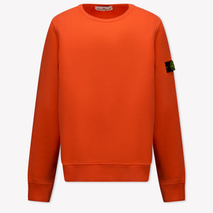 Stone Island Niño Chicos Suéter en Rojo