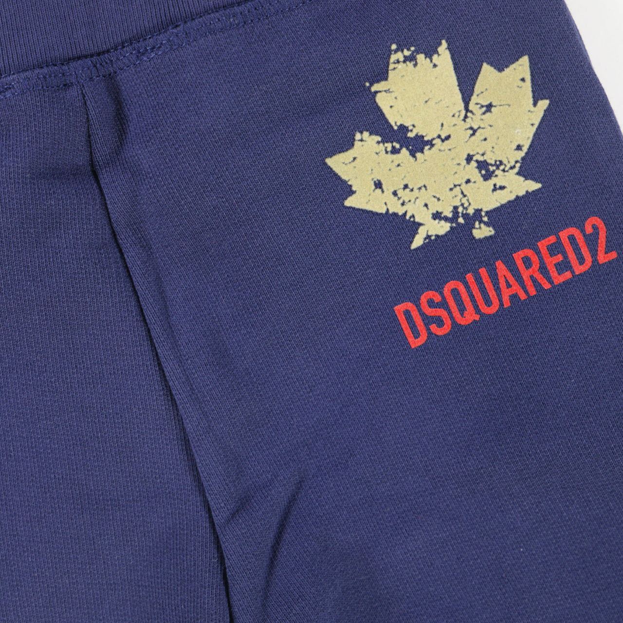 Dsquared2 Bebé Chicos Pantalones Azul Cobalto
