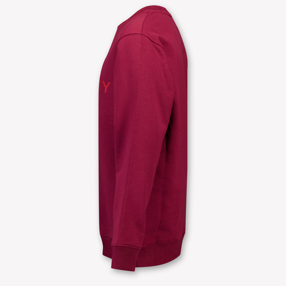 Givenchy Kinder Jongens Trui In Bordeaux