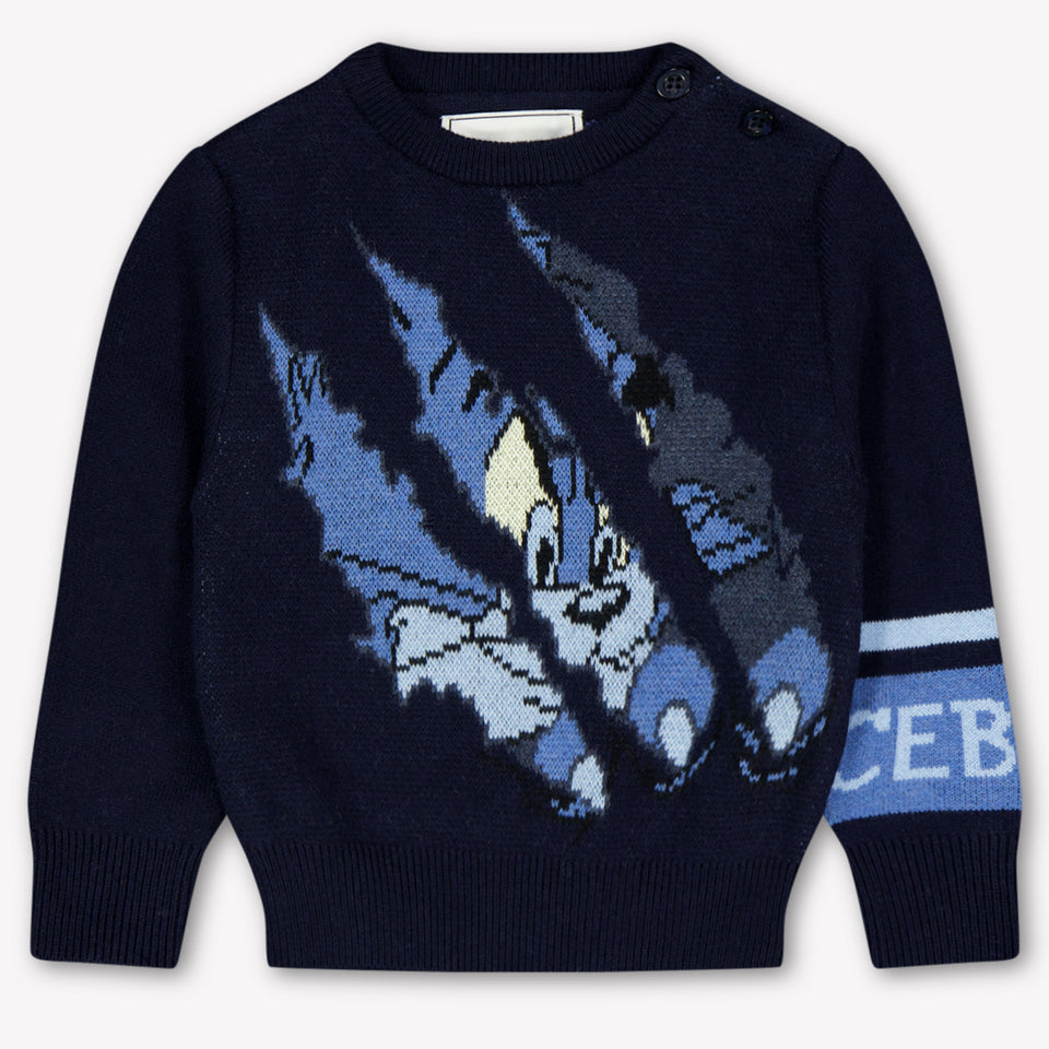 Iceberg Bambino Ragazzi Maglione in Navy