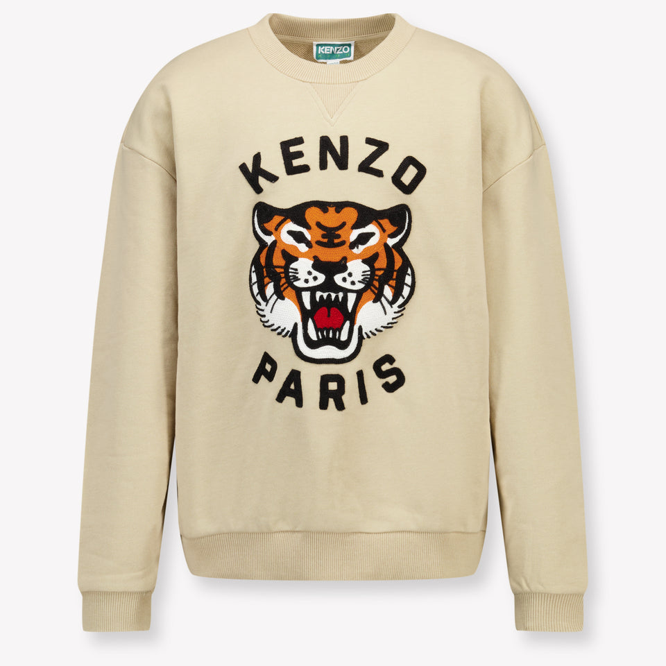 Kenzo kids Kids Boys Sweater in Beige