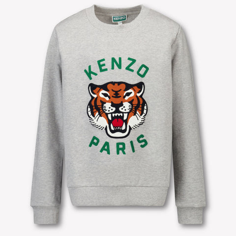 Kenzo kids Kids Boys Sweater in Gray