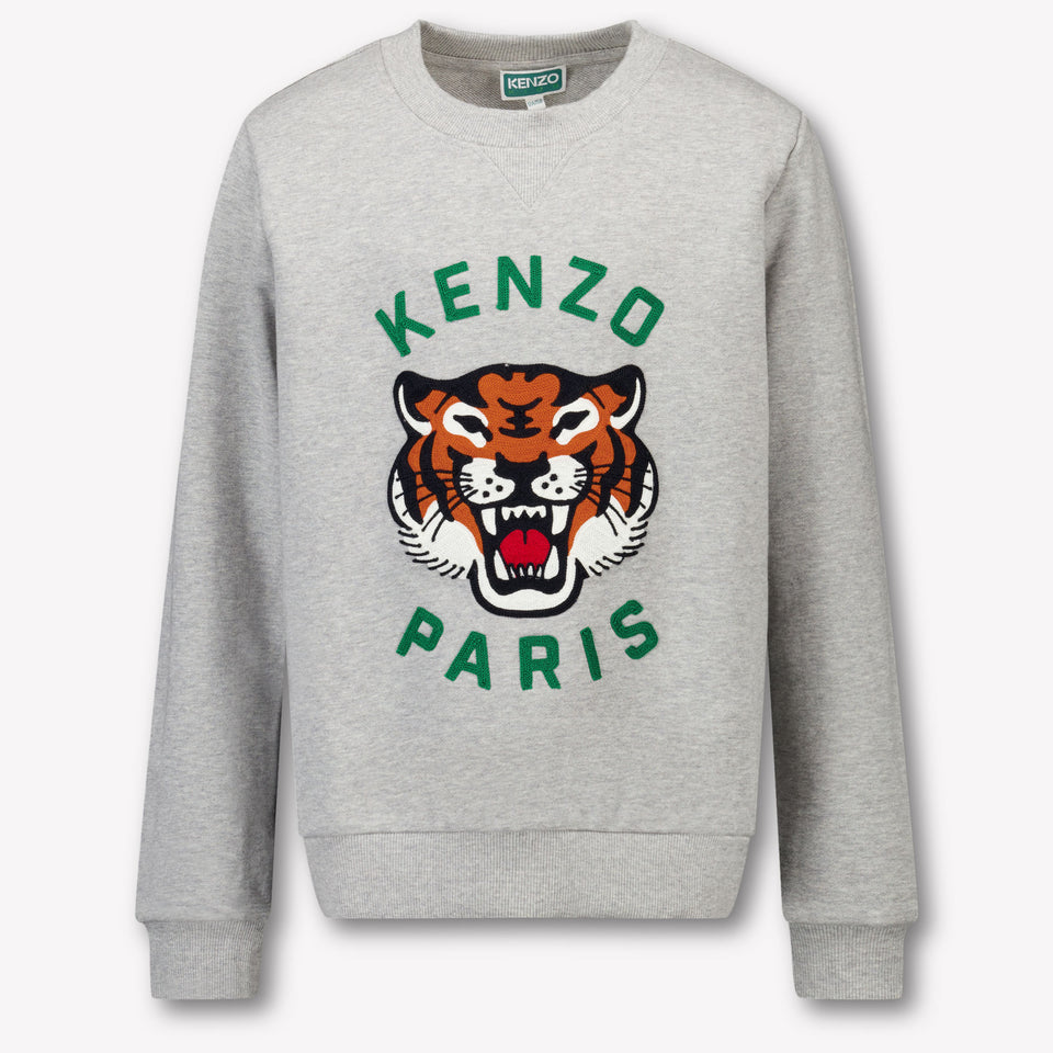 Kenzo kids Kids Boys Sweater in Gray