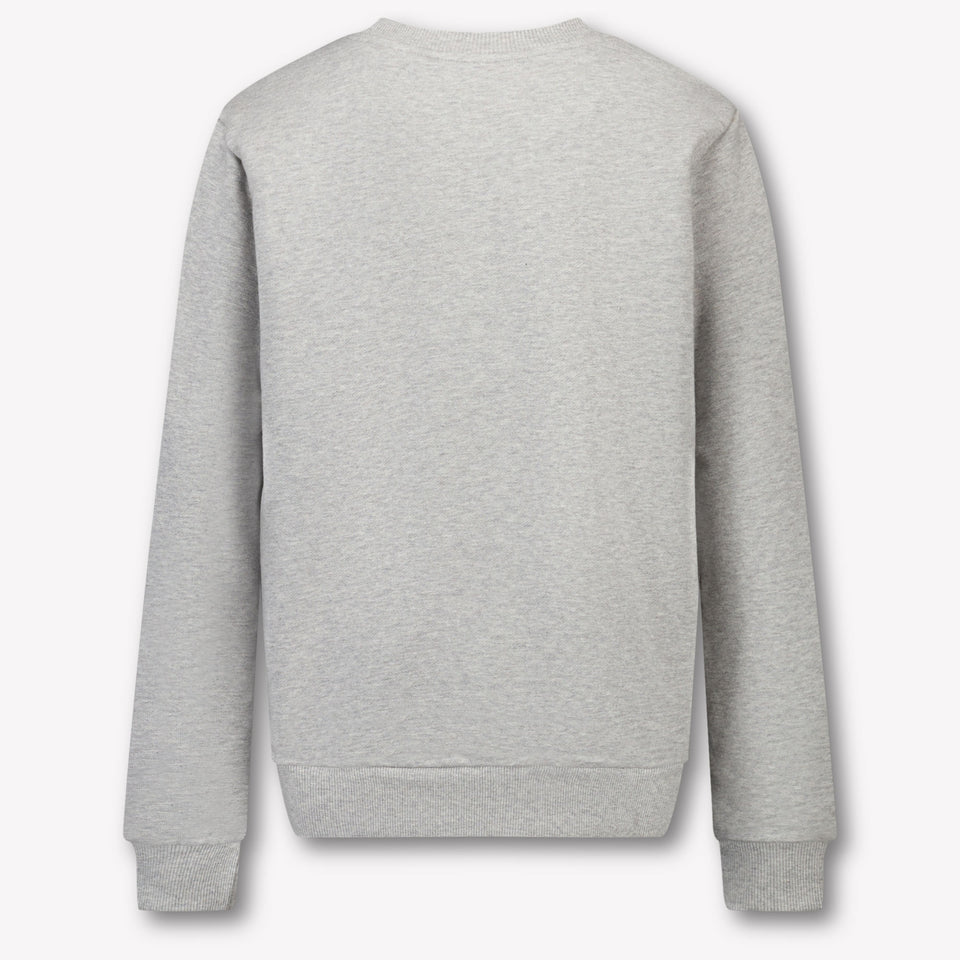 Kenzo kids Kids Boys Sweater in Gray