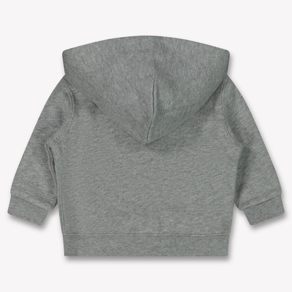 Ralph Lauren Baby Boys Cardigan Light Gray