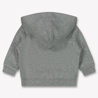 Ralph Lauren Bebé Chicos Chaleco Gris Claro