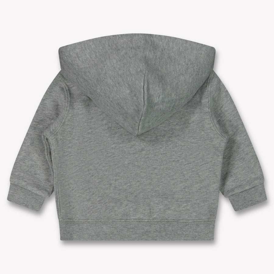 Ralph Lauren Bebé Chicos Chaleco Gris Claro