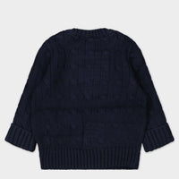 Ralph Lauren Baby Jungen Pullover Marineblau