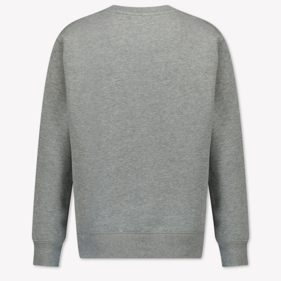 Ralph Lauren Ragazzo Ragazzi Maglione in Grigio Chiaro