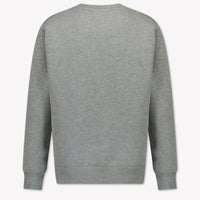 Ralph Lauren Enfant Garçons Pull Gris Clair