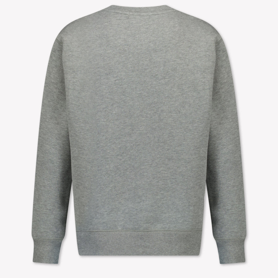 Ralph Lauren Enfant Garçons Pull Gris Clair