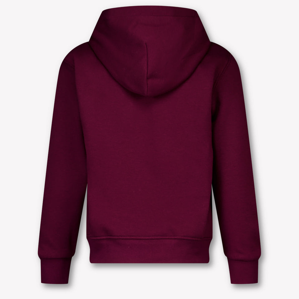 Ralph Lauren Niño Chicos Suéter en Burdeos