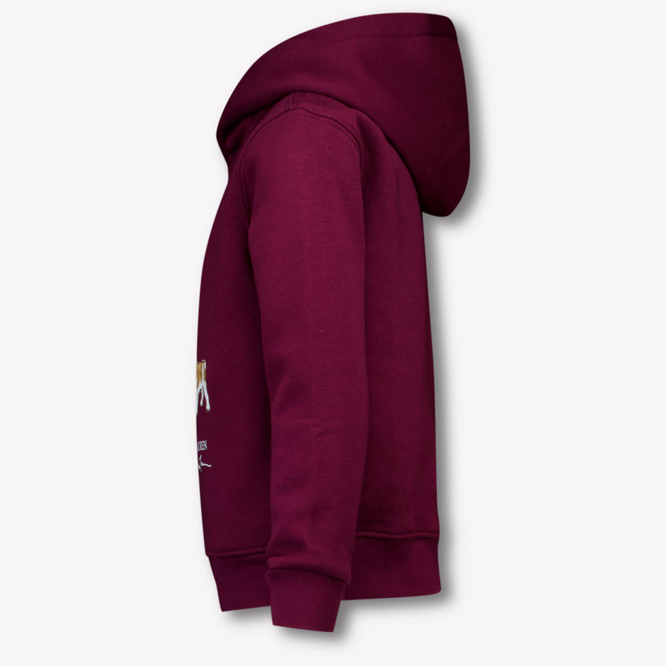 Ralph Lauren Niño Chicos Suéter en Burdeos