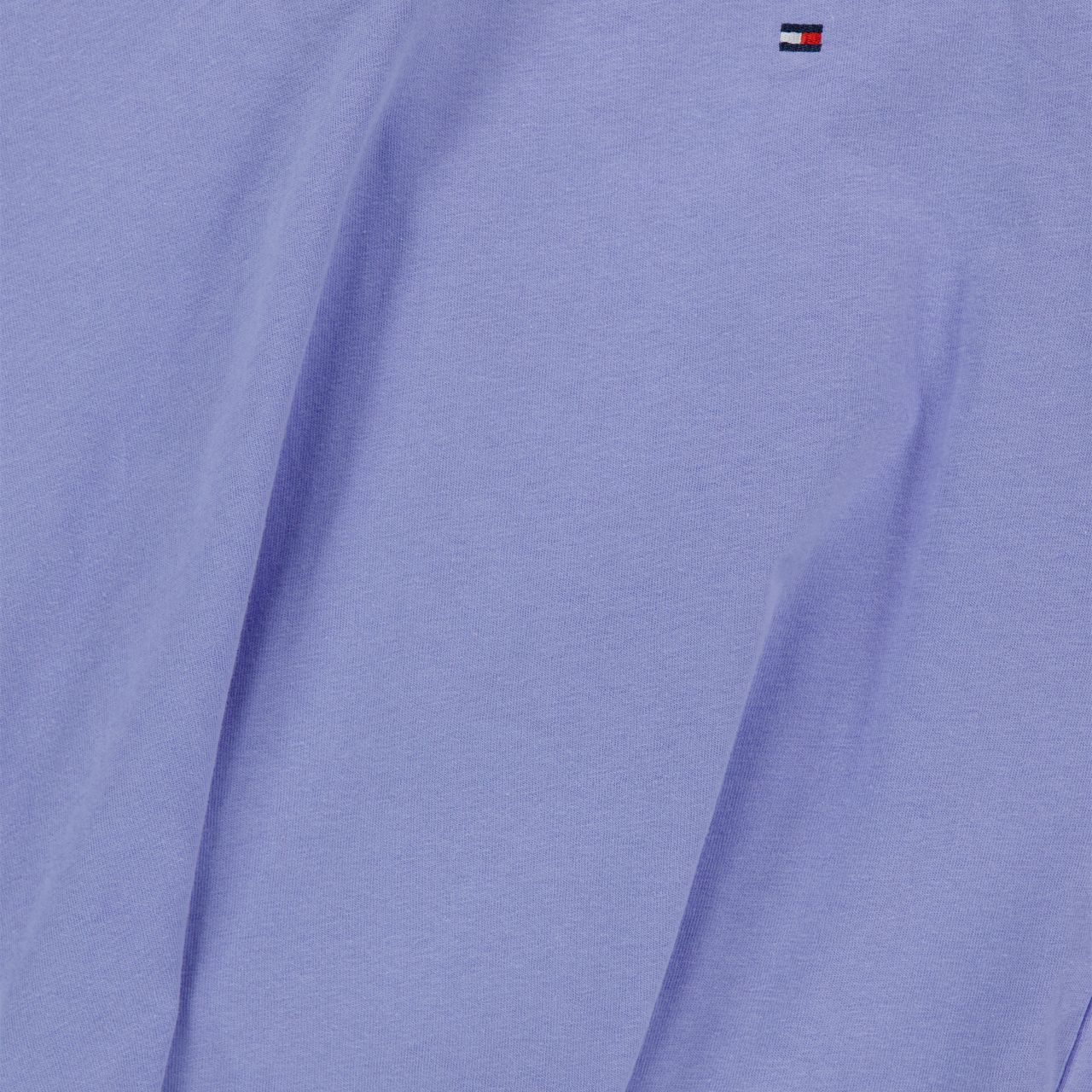 Tommy Hilfiger Enfant Garçons Chemises Bleu