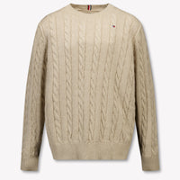Tommy Hilfiger Enfant Garçons Pull Beige