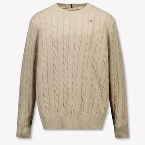Tommy Hilfiger Enfant Garçons Pull Beige