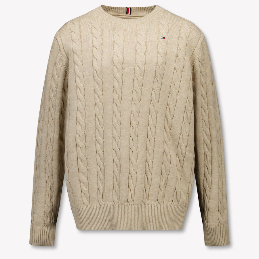Tommy Hilfiger Enfant Garçons Pull Beige