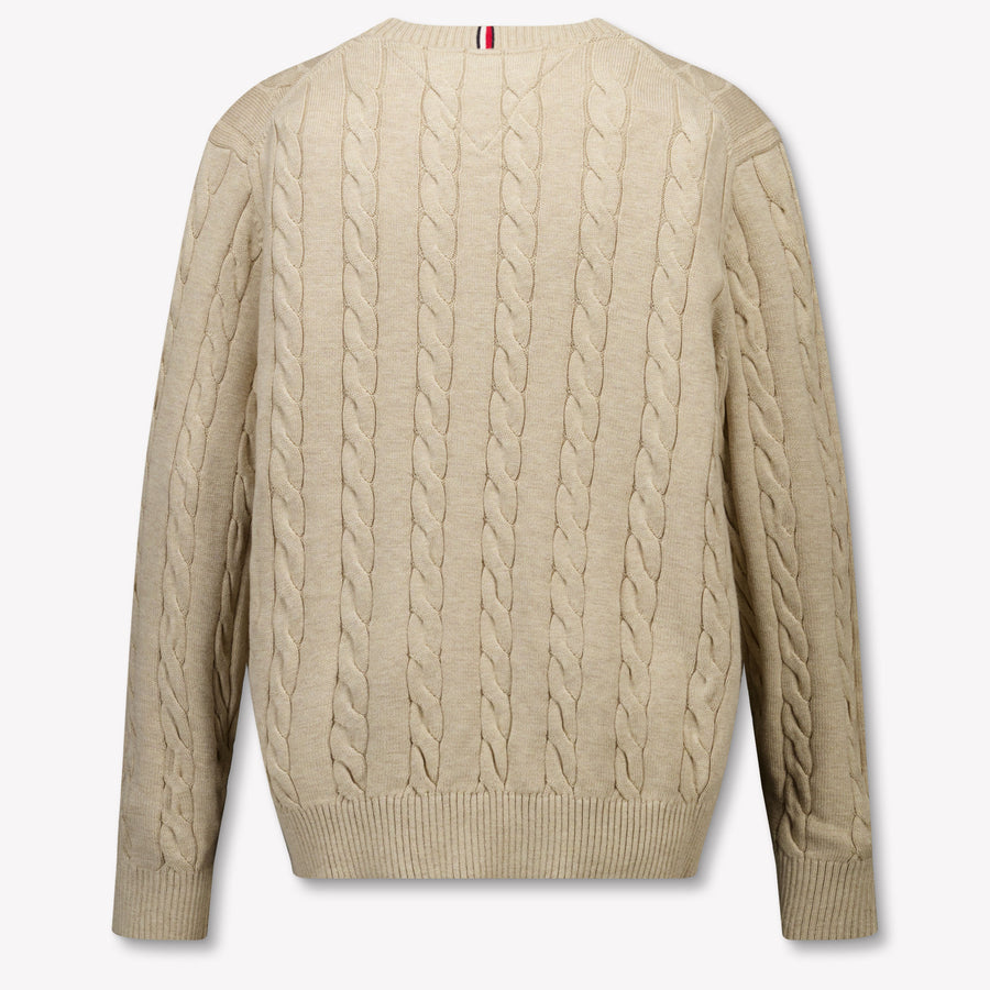 Tommy Hilfiger Enfant Garçons Pull Beige