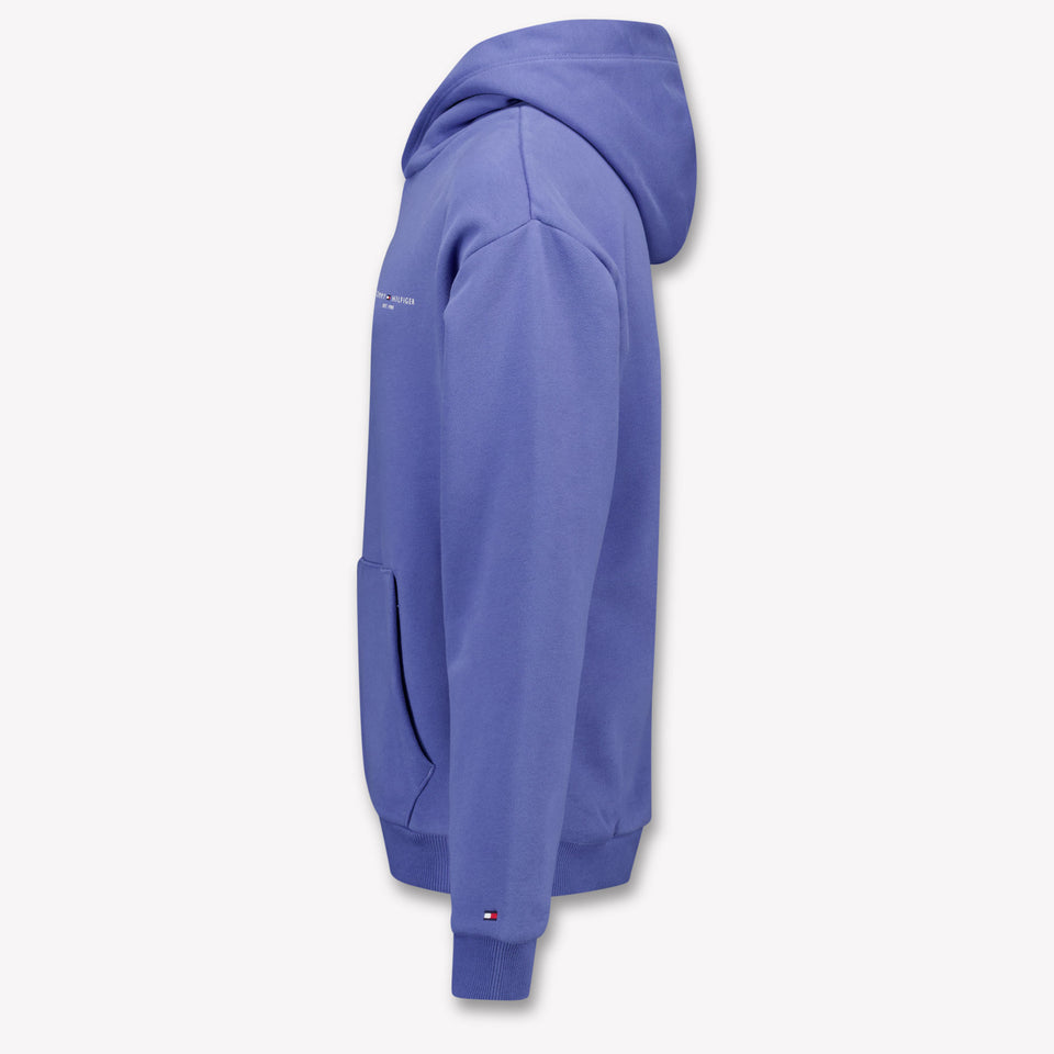 Tommy Hilfiger Enfant Unisexe Pull Bleu