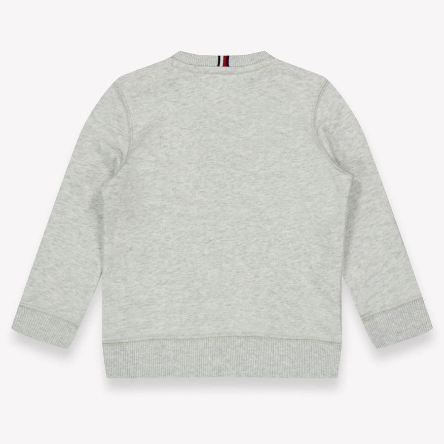 Tommy Hilfiger Baby Jongens Trui In Grijs