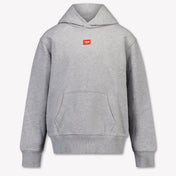 Diesel Kids Boys Sweater  Gray
