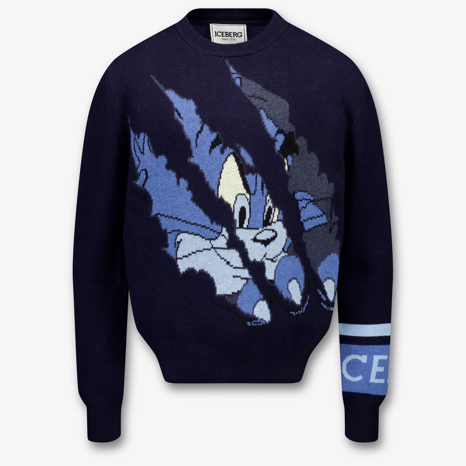 Iceberg Ragazzo Ragazzi Maglione in Navy