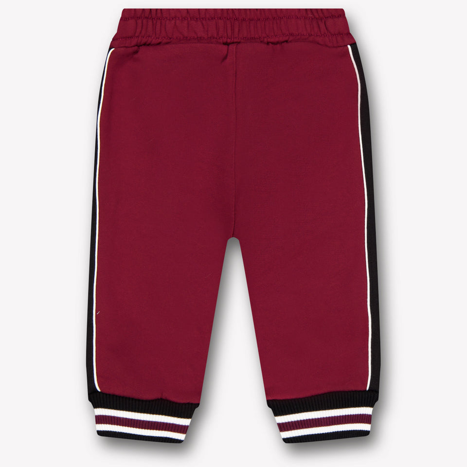 Dolce & Gabbana Bébé Garçons Pantalon à Bordeaux