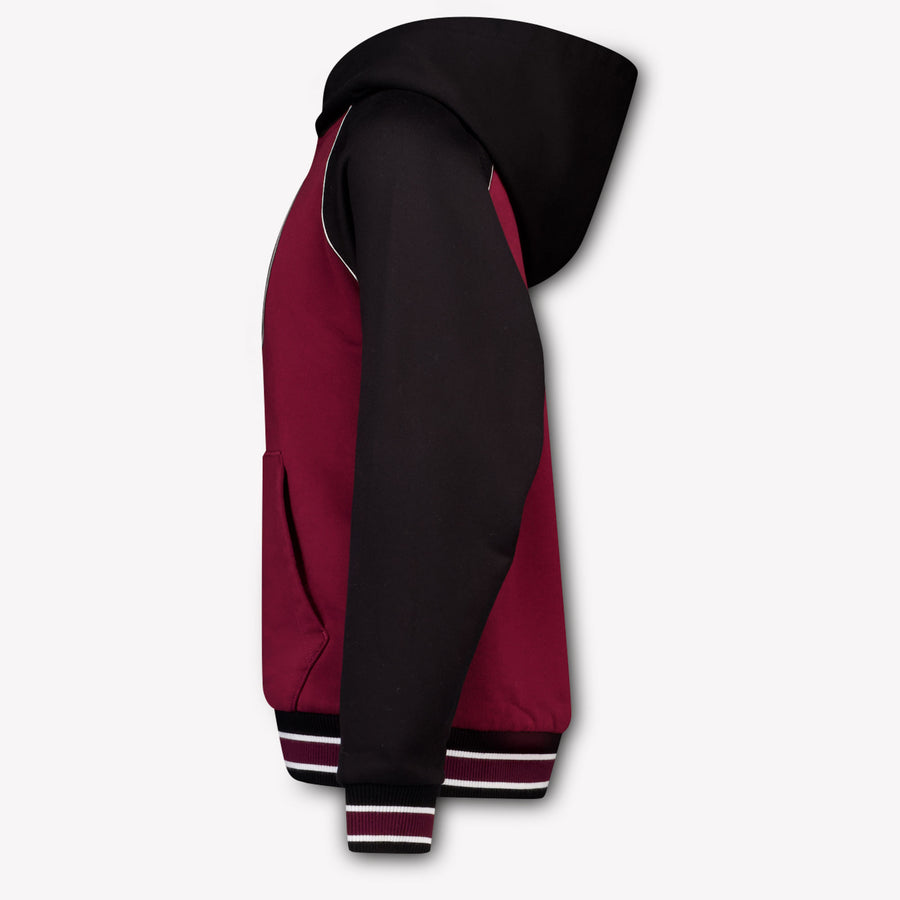 Dolce & Gabbana Kids Boys Sweater In Bordeaux