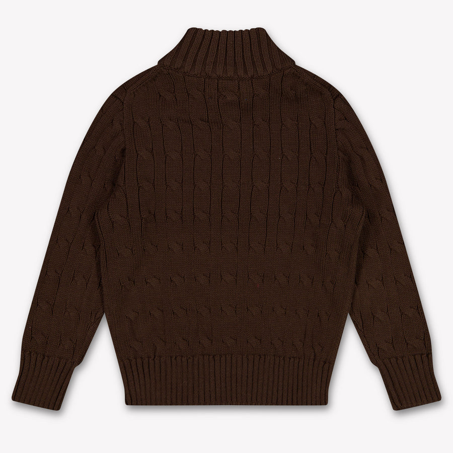 Ralph Lauren Kids Boys Sweater In Brown