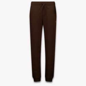 Ralph Lauren Kids Boys Pants In Brown