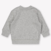 Ralph Lauren Bébé Garçons Pull en Gris