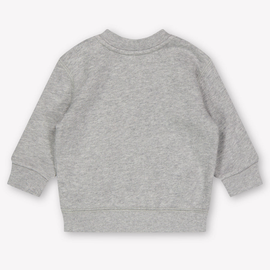 Ralph Lauren Bébé Garçons Pull en Gris