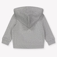 Ralph Lauren Bébé Garçons Cardigan en Gris