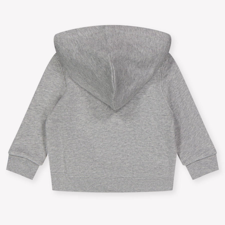 Ralph Lauren Bébé Garçons Cardigan en Gris