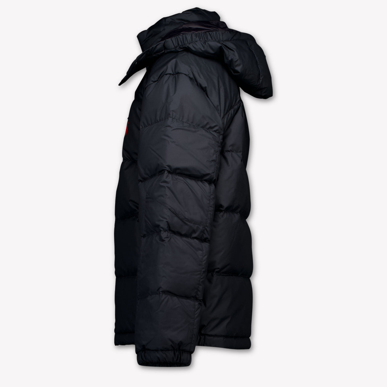 Ralph Lauren Kids Boys Jackets In Black