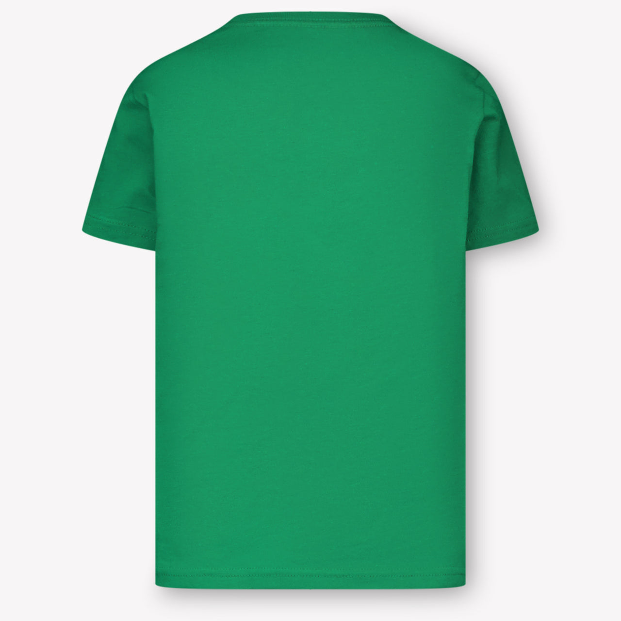 Ralph Lauren Enfants Garçons T-shirt dans Vert