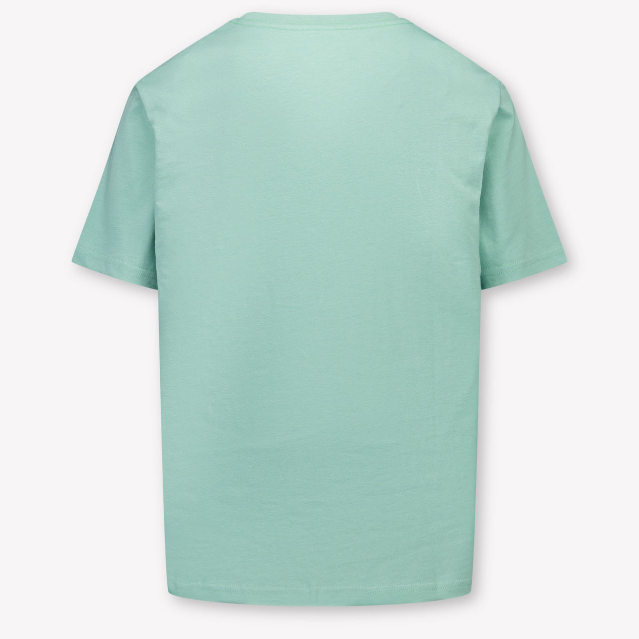 Ralph Lauren Kids Boys T-Shirt In Light Green