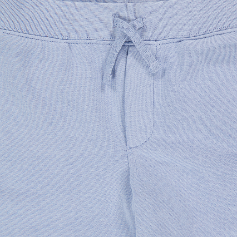 Ralph Lauren Kids Boys Shorts In Light Blue