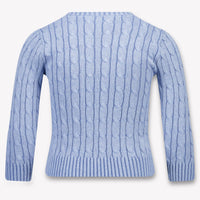 Ralph Lauren Kids Boys Sweater In Light Blue