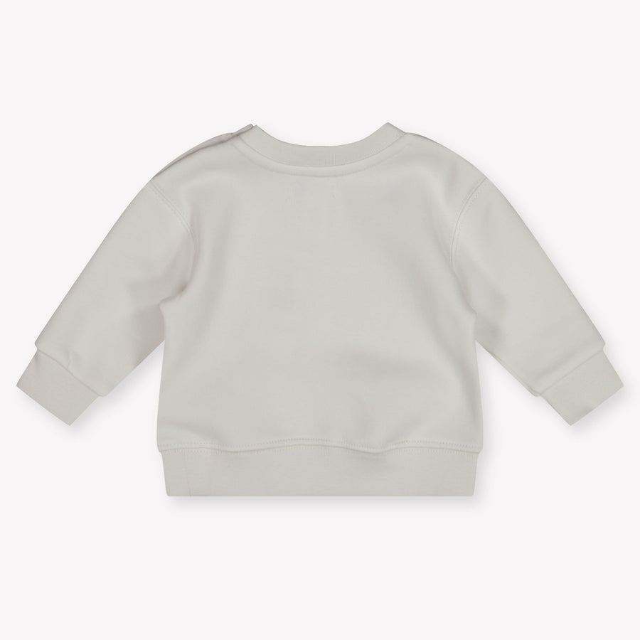 Ralph Lauren Bébé Garçons Pull en Blanc