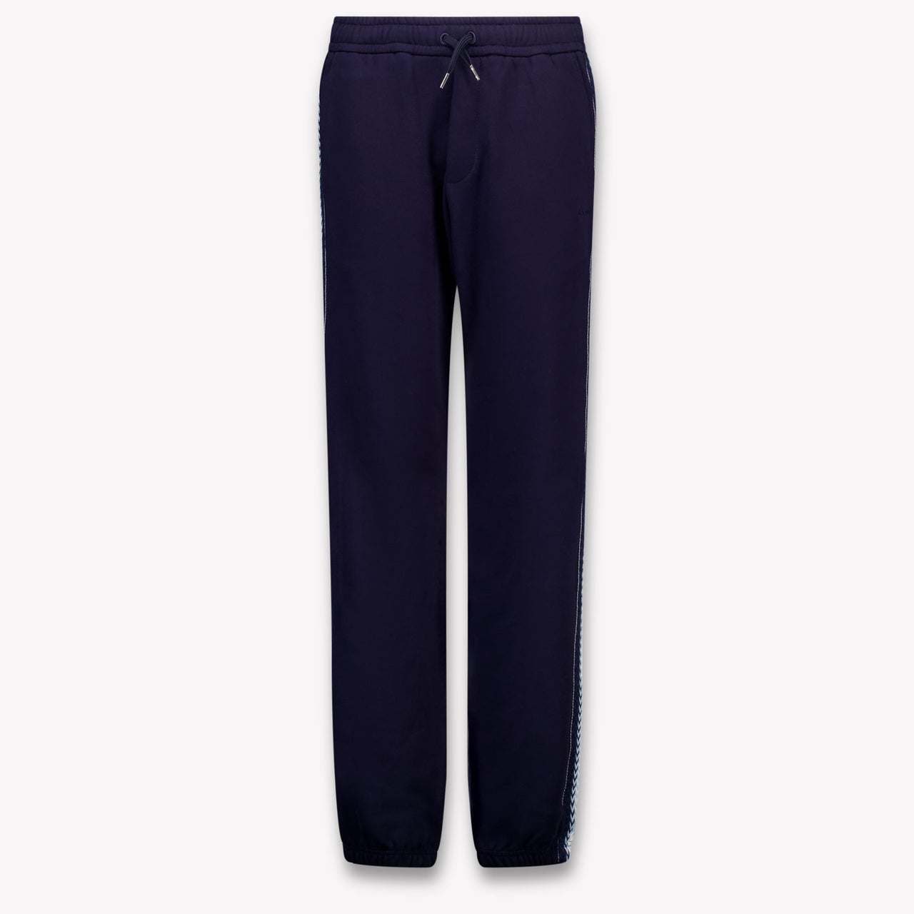 Lanvin Kids Boys Pants In Navy
