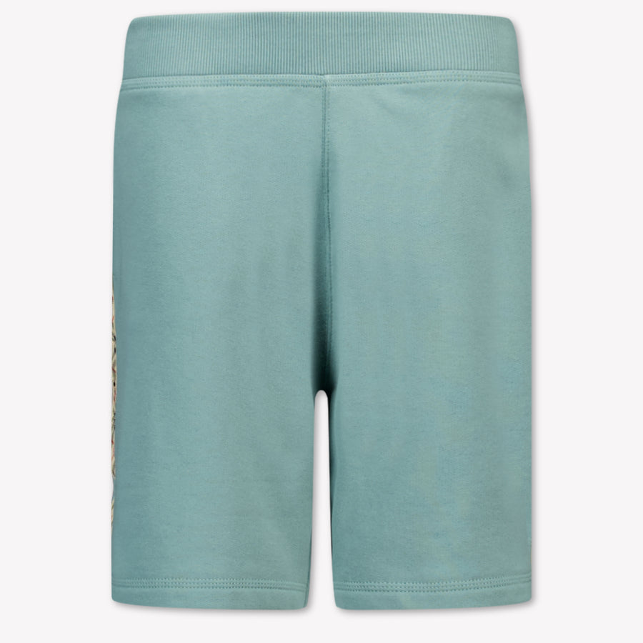 Burberry Banques Kinder Garçons Short dans Vert