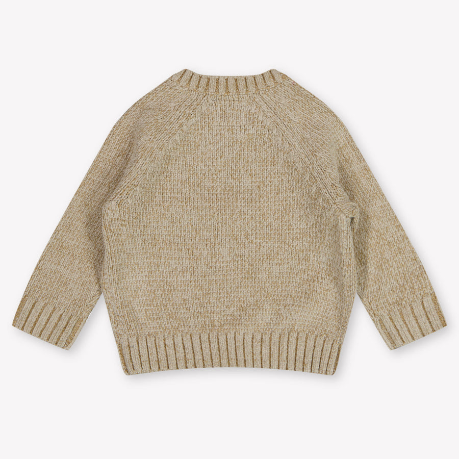 Guess Bébé Garçons Pull en Beige