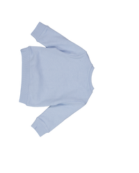 Guess Bébé Garçons Pull en Bleu Clair